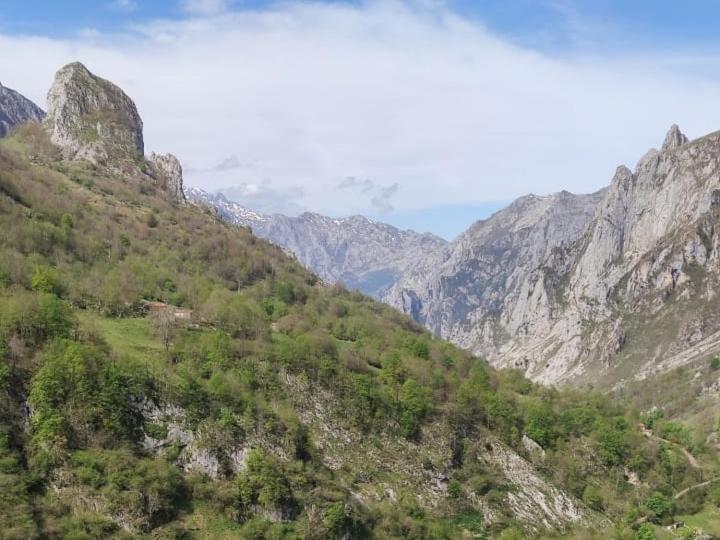La Casina De Tielve De Cabrales Dentro Del Parque Nacional Picos De Europa Villa Exterior photo